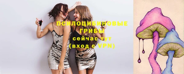 PSILOCYBIN Алзамай