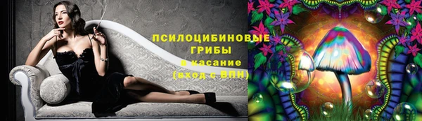 прущая мука Алексин